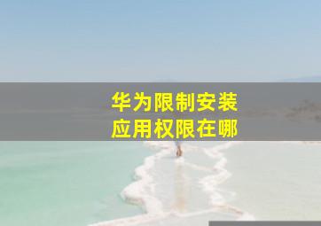 华为限制安装应用权限在哪