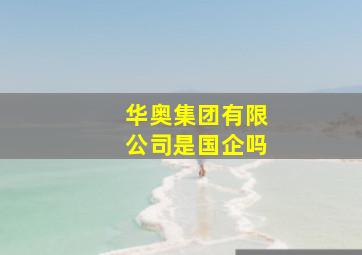 华奥集团有限公司是国企吗