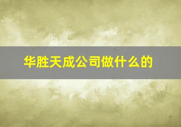 华胜天成公司做什么的