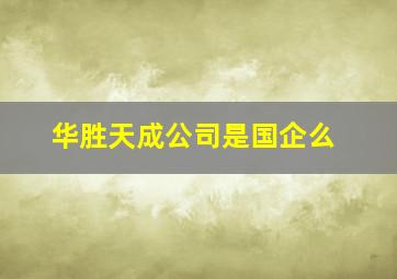 华胜天成公司是国企么