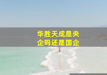 华胜天成是央企吗还是国企