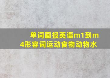 单词画报英语m1到m4形容词运动食物动物水