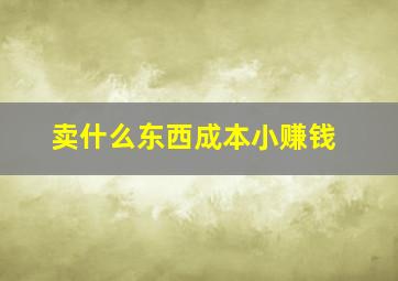 卖什么东西成本小赚钱