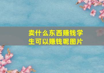 卖什么东西赚钱学生可以赚钱呢图片