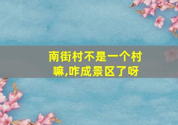 南街村不是一个村嘛,咋成景区了呀