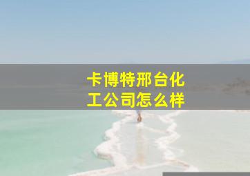 卡博特邢台化工公司怎么样