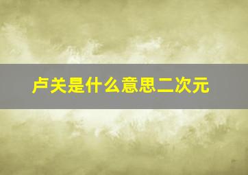 卢关是什么意思二次元