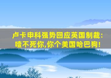 卢卡申科强势回应英国制裁:噎不死你,你个美国哈巴狗!