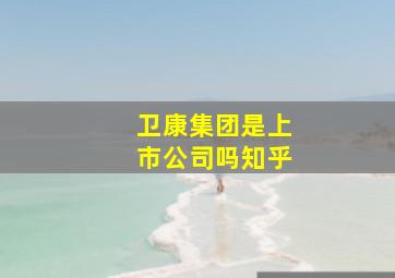 卫康集团是上市公司吗知乎