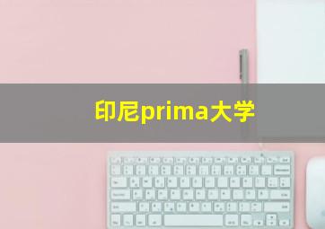 印尼prima大学