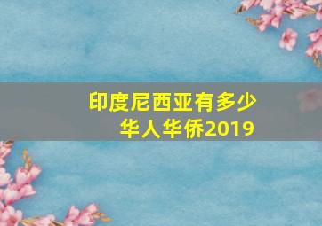 印度尼西亚有多少华人华侨2019