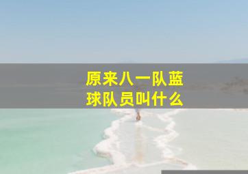 原来八一队蓝球队员叫什么