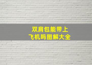 双肩包能带上飞机吗图解大全