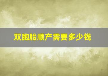 双胞胎顺产需要多少钱