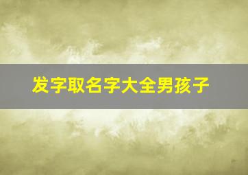 发字取名字大全男孩子