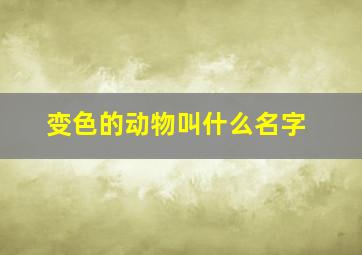 变色的动物叫什么名字