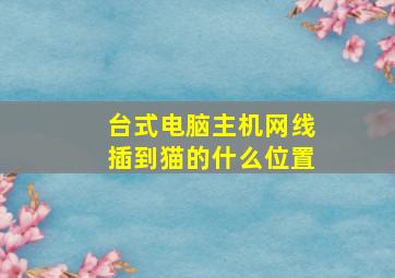 台式电脑主机网线插到猫的什么位置