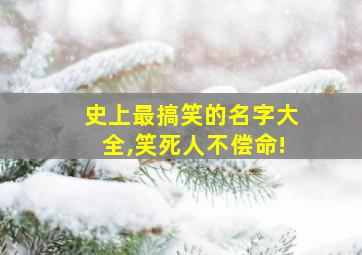 史上最搞笑的名字大全,笑死人不偿命!