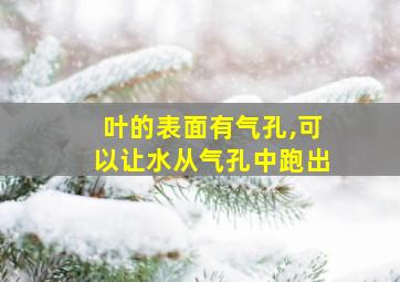 叶的表面有气孔,可以让水从气孔中跑出