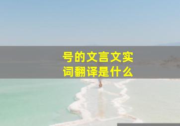 号的文言文实词翻译是什么