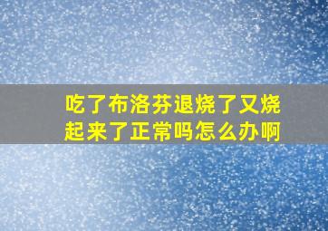 吃了布洛芬退烧了又烧起来了正常吗怎么办啊