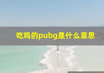 吃鸡的pubg是什么意思