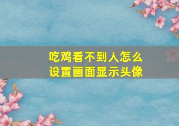 吃鸡看不到人怎么设置画面显示头像