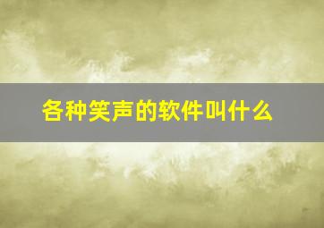 各种笑声的软件叫什么