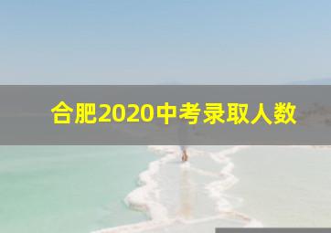 合肥2020中考录取人数