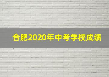 合肥2020年中考学校成绩