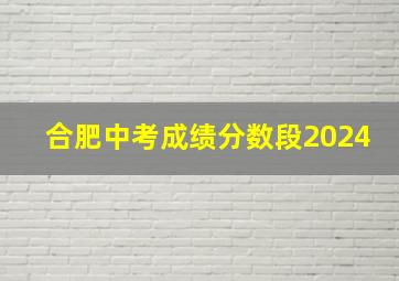 合肥中考成绩分数段2024