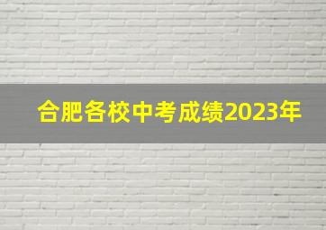 合肥各校中考成绩2023年