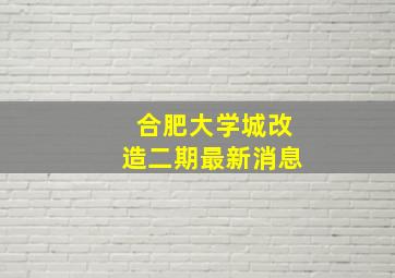 合肥大学城改造二期最新消息