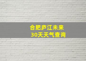 合肥庐江未来30天天气查询