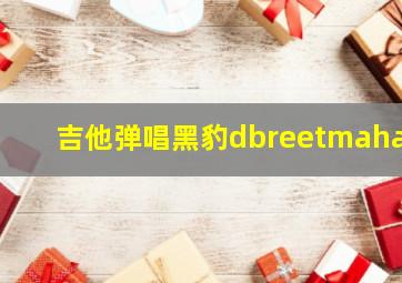 吉他弹唱黑豹dbreetmahar