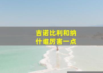 吉诺比利和纳什谁厉害一点