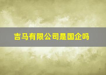 吉马有限公司是国企吗