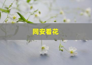 同安看花