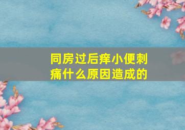 同房过后痒小便刺痛什么原因造成的