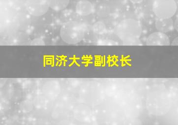 同济大学副校长