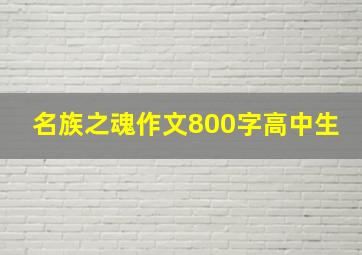 名族之魂作文800字高中生