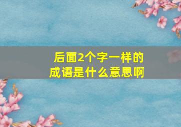 后面2个字一样的成语是什么意思啊