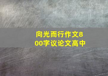 向光而行作文800字议论文高中