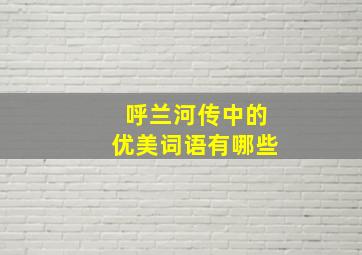 呼兰河传中的优美词语有哪些