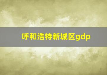 呼和浩特新城区gdp