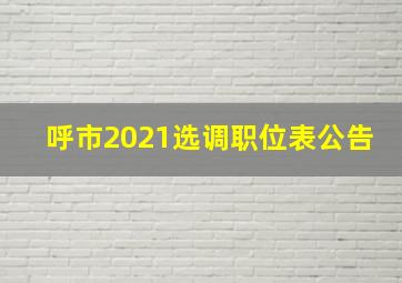 呼市2021选调职位表公告