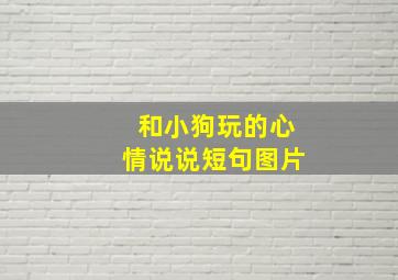 和小狗玩的心情说说短句图片