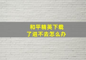 和平精英下载了进不去怎么办