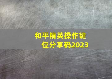 和平精英操作键位分享码2023