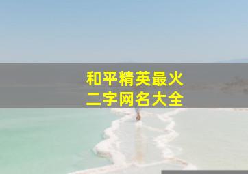 和平精英最火二字网名大全